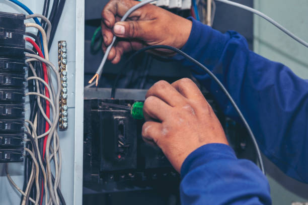Best Ceiling Fan Installation Electrician  in Bryson City, NC